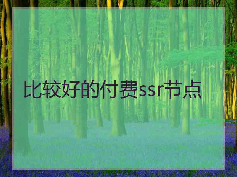 比较好的付费ssr节点 比较好的付费ssr节点