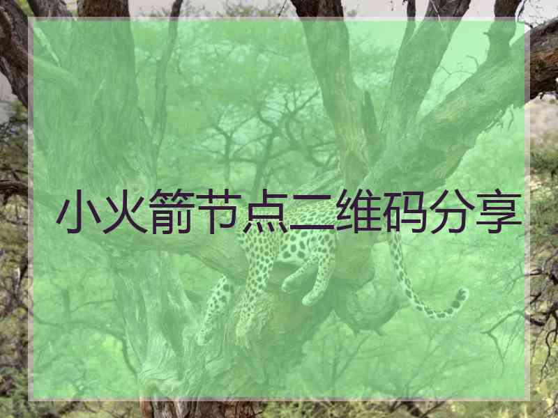 小火箭节点二维码分享 小火箭节点二维码分享