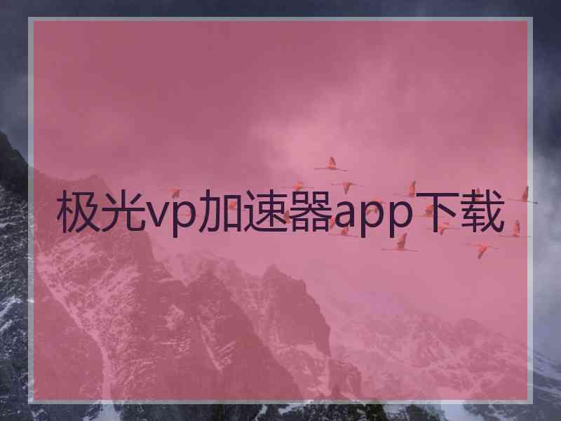 极光vp加速器app下载 极光vp加速器app下载