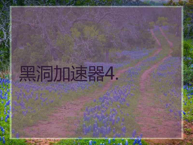 黑洞加速器4. 黑洞加速器4.