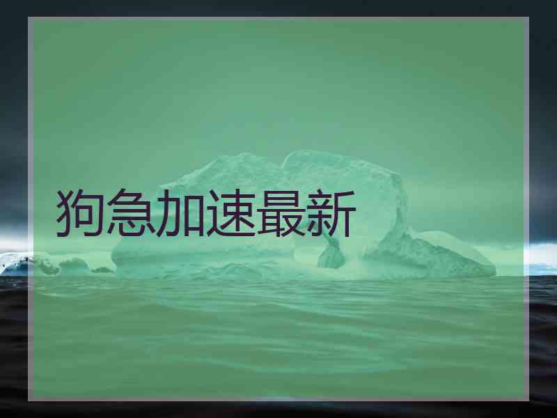 狗急加速最新 狗急加速最新