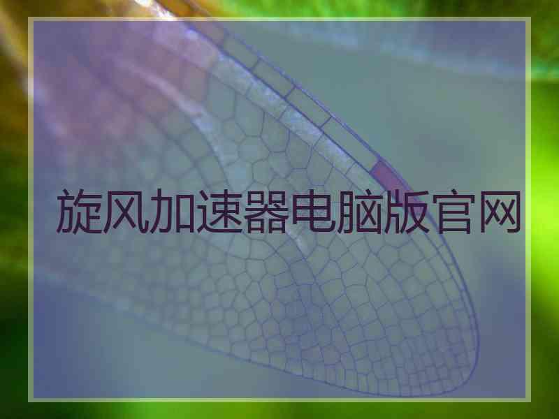 旋风加速器电脑版官网 旋风加速器电脑版官网