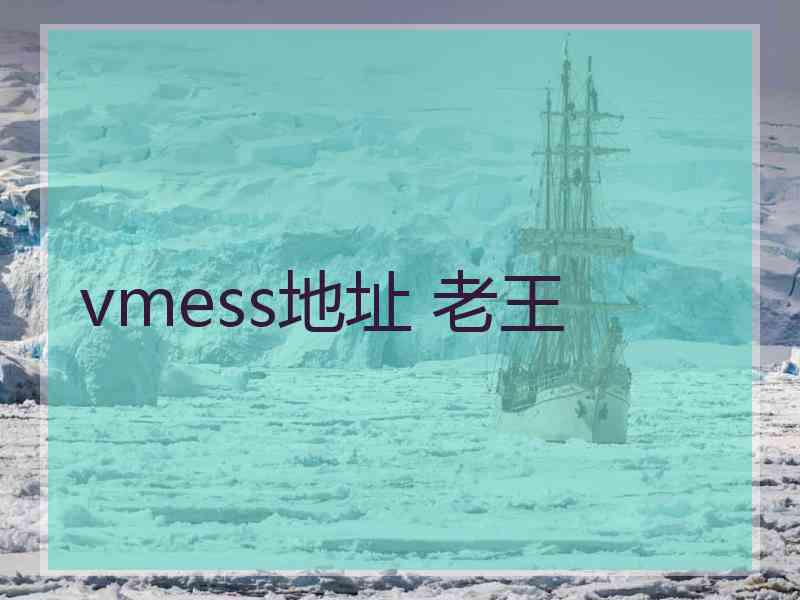 vmess地址 老王