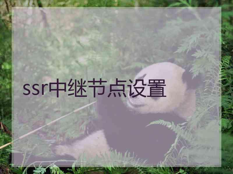 ssr中继节点设置