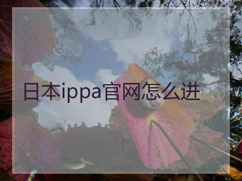 日本ippa官网怎么进