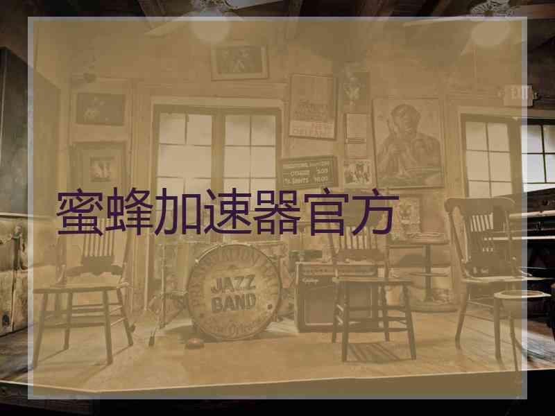 蜜蜂加速器官方