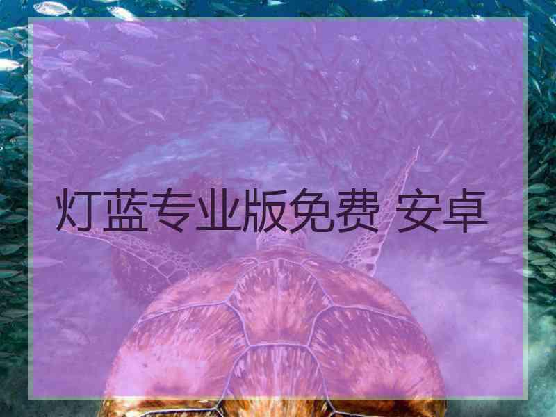 灯蓝专业版免费 安卓
