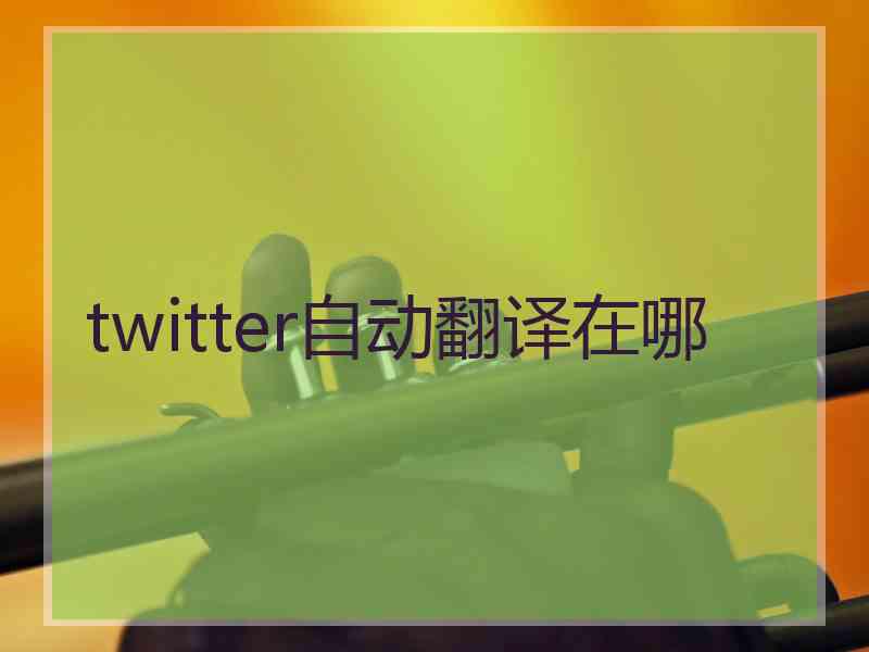 twitter自动翻译在哪