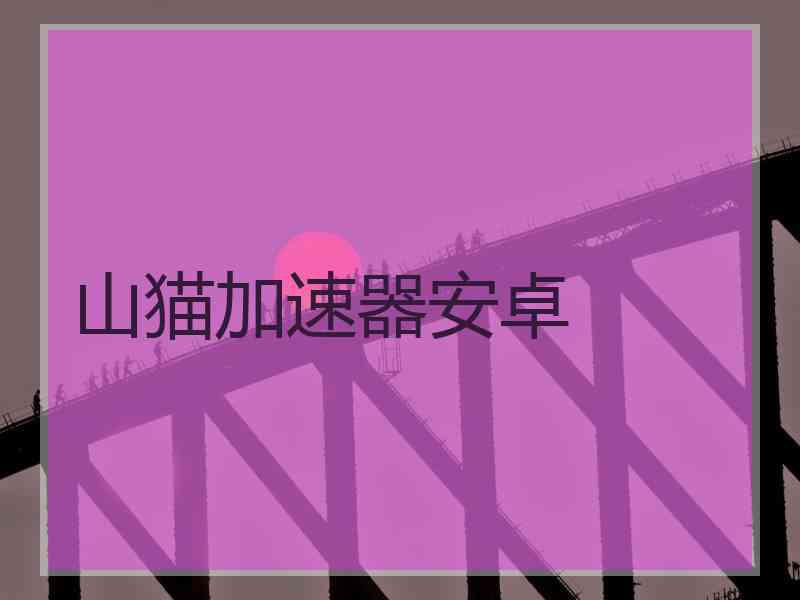 山猫加速器安卓