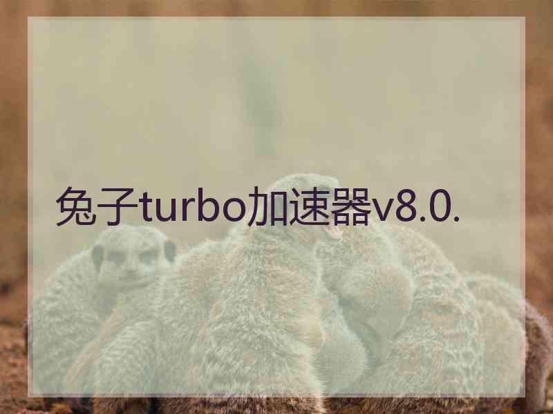 兔子turbo加速器v8.0.