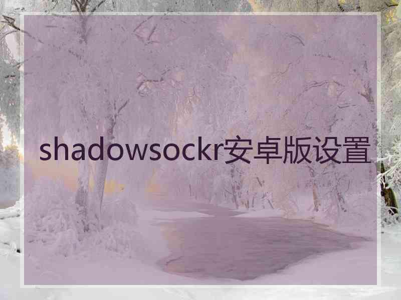 shadowsockr安卓版设置