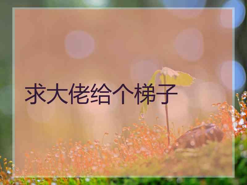 求大佬给个梯子