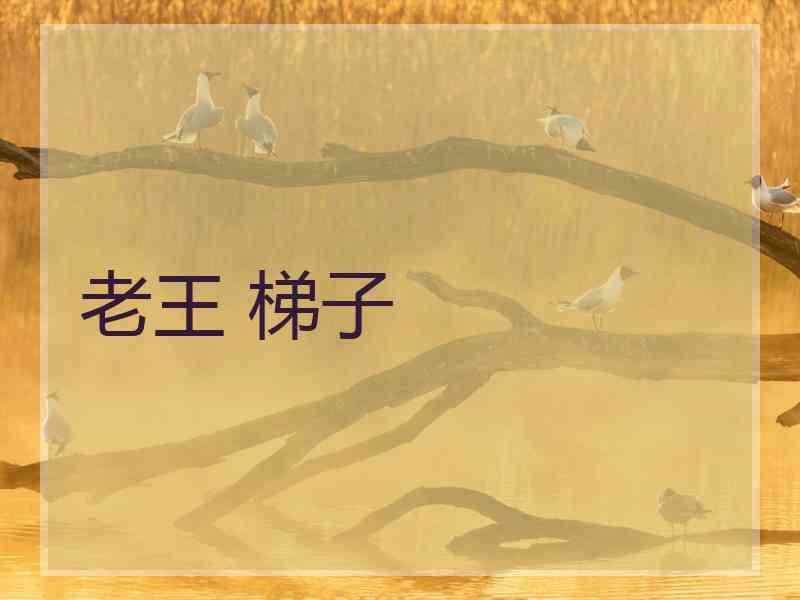 老王 梯子