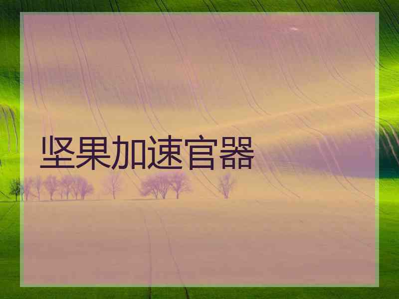 坚果加速官器
