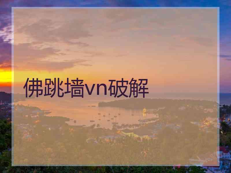 佛跳墙vn破解
