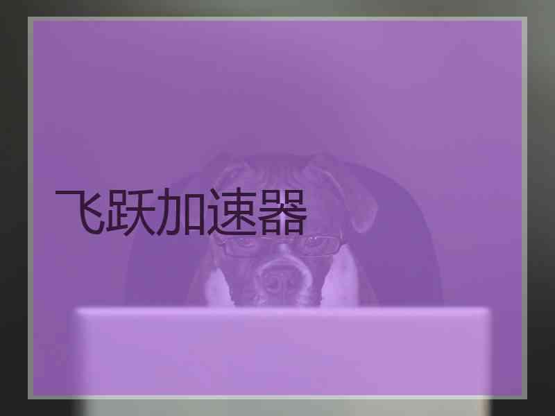 飞跃加速器