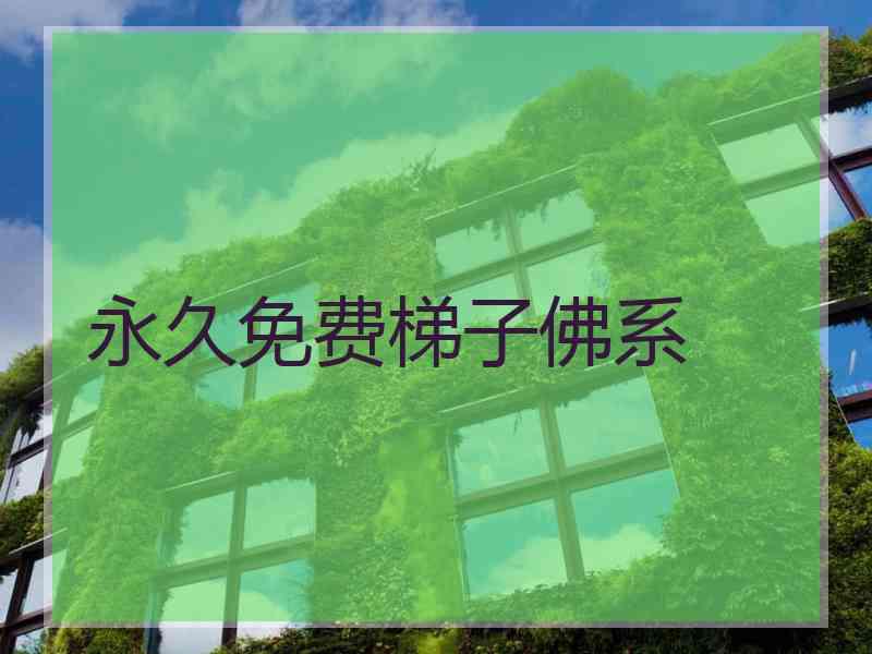 永久免费梯子佛系