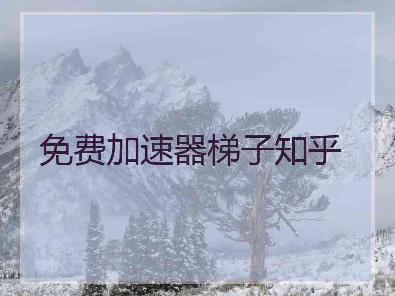 免费加速器梯子知乎