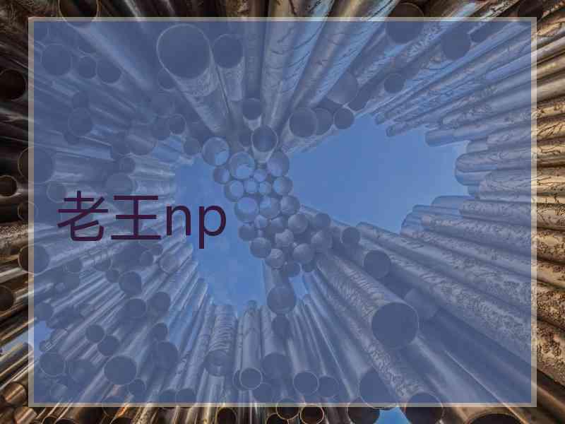老王np