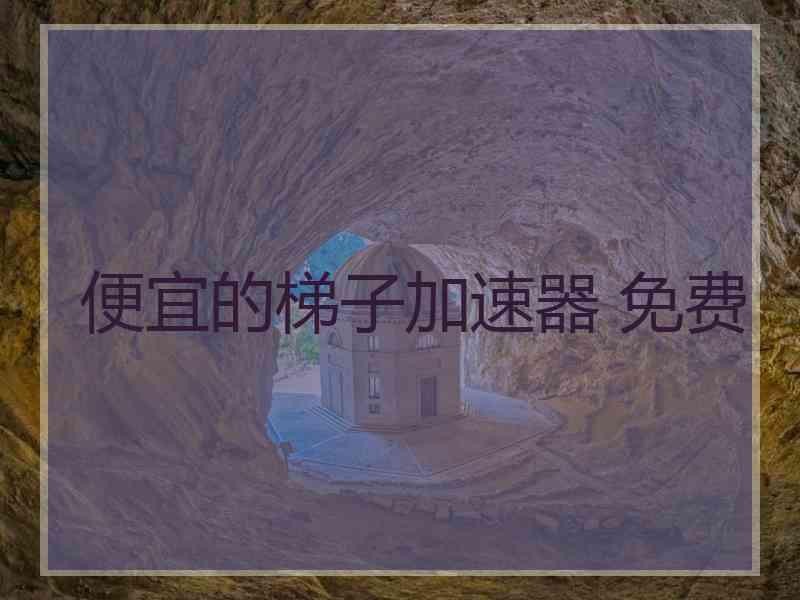 便宜的梯子加速器 免费