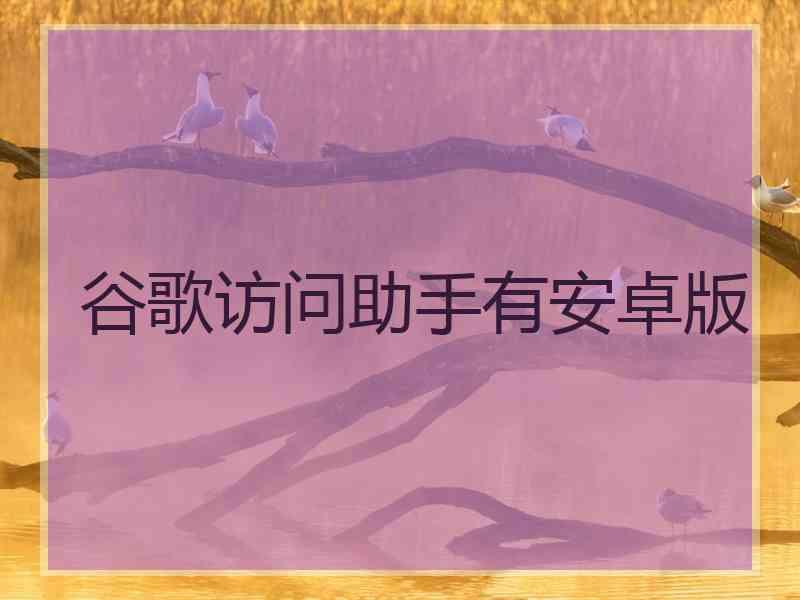 谷歌访问助手有安卓版
