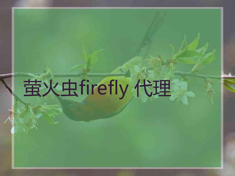 萤火虫firefly 代理