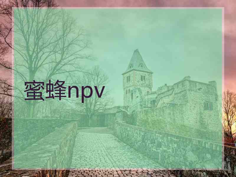 蜜蜂npv