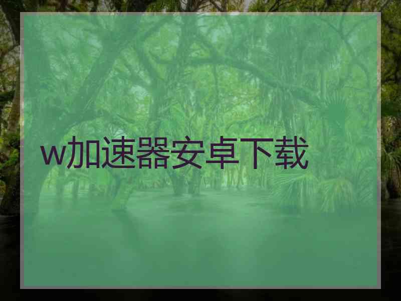 w加速器安卓下载