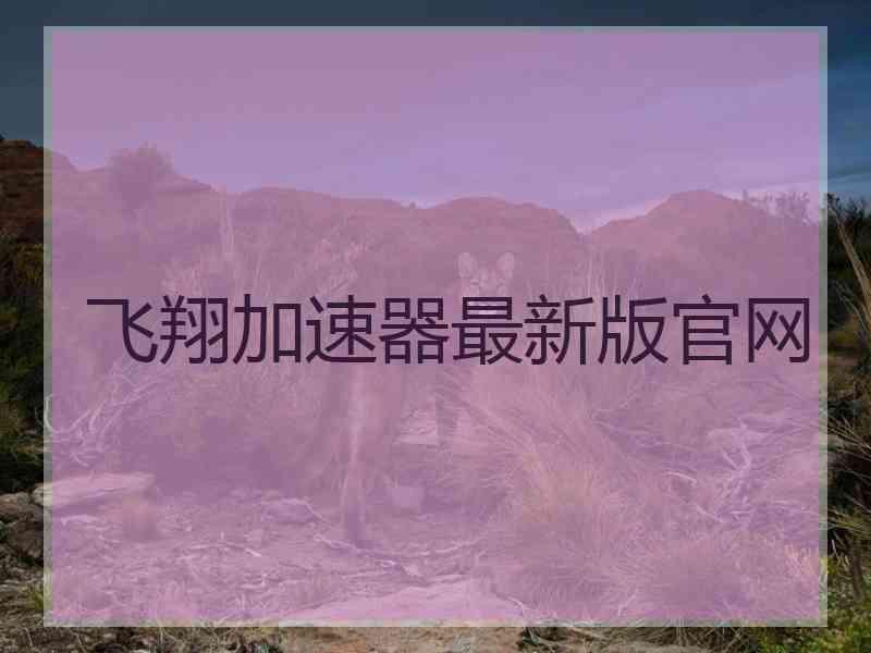 飞翔加速器最新版官网