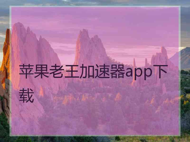 苹果老王加速器app下载