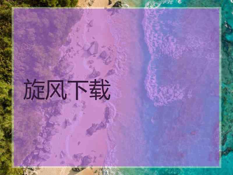 旋风下载