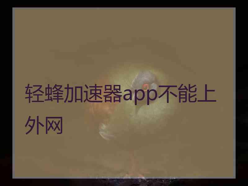 轻蜂加速器app不能上外网