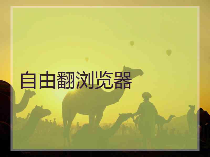 自由翻浏览器