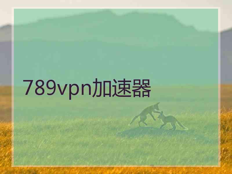789vpn加速器