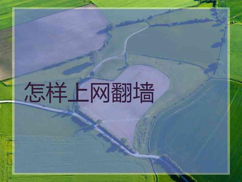 怎样上网翻墙