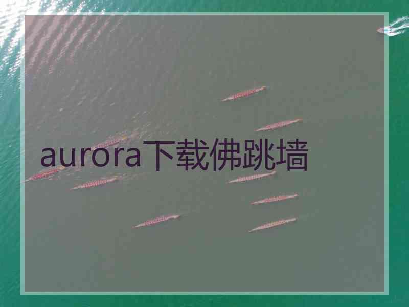 aurora下载佛跳墙