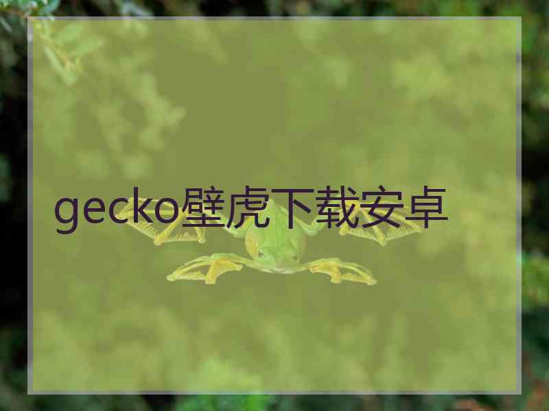 gecko壁虎下载安卓