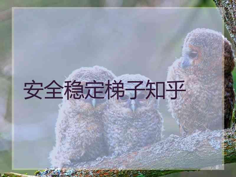 安全稳定梯子知乎