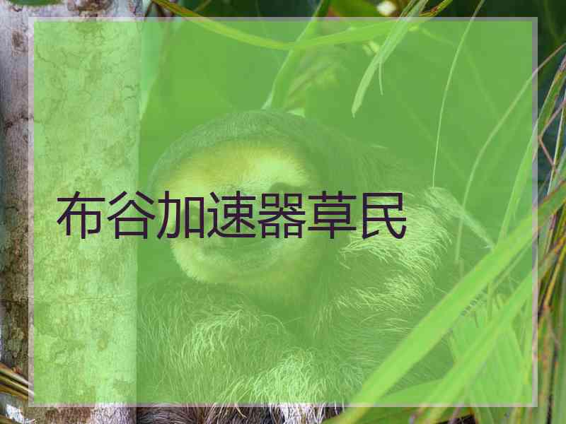 布谷加速器草民