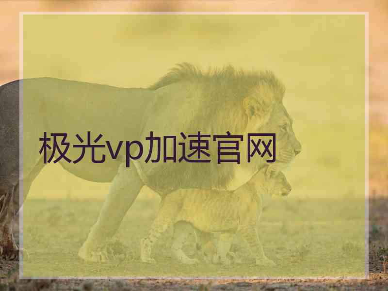 极光vp加速官网