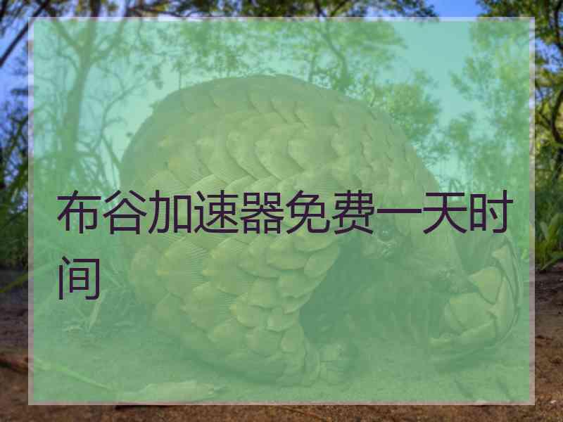 布谷加速器免费一天时间