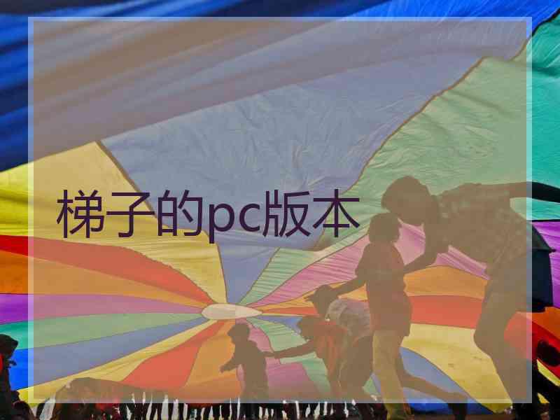 梯子的pc版本