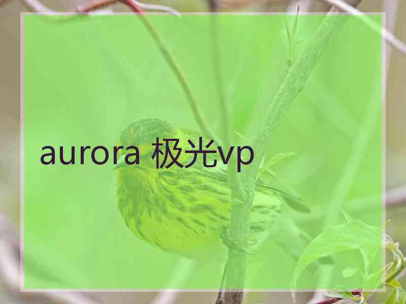 aurora 极光vp