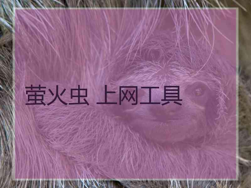 萤火虫 上网工具