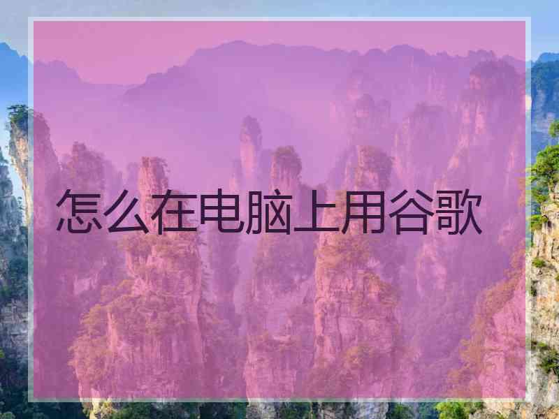 怎么在电脑上用谷歌