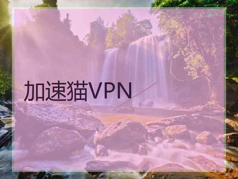 加速猫VPN