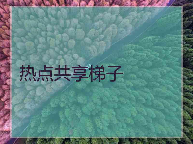 热点共享梯子