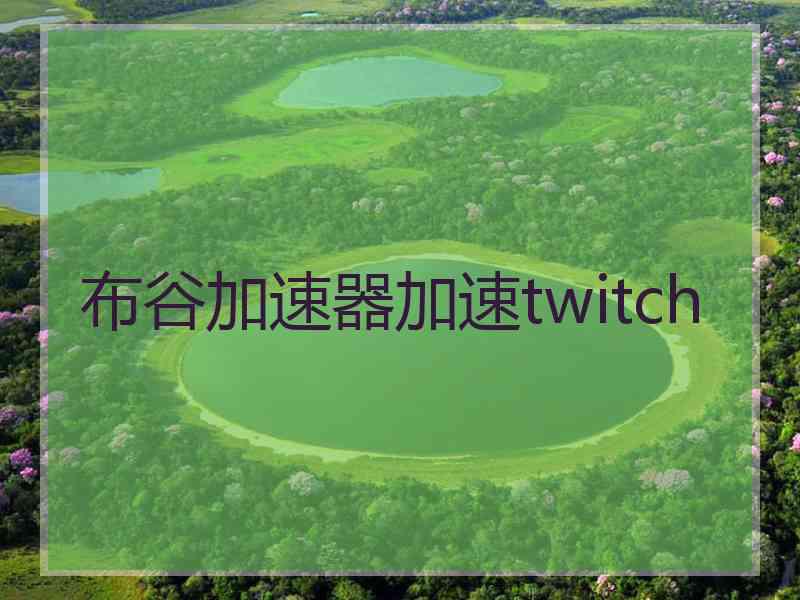 布谷加速器加速twitch
