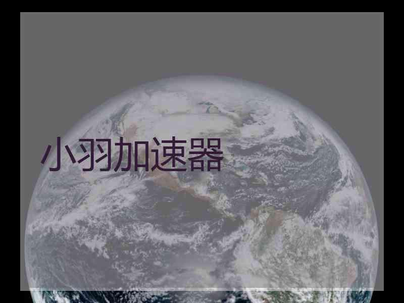 小羽加速器