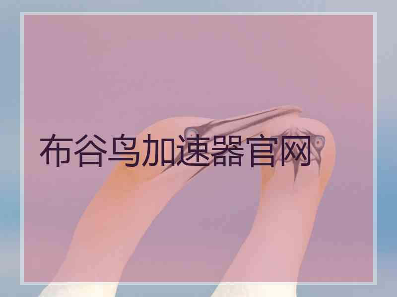 布谷鸟加速器官网